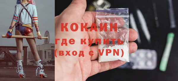 сатива Бородино