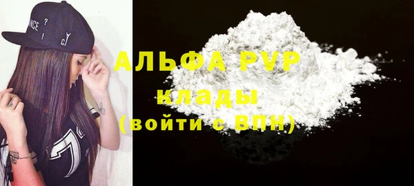 сатива Бородино