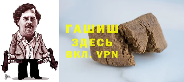 сатива Бородино