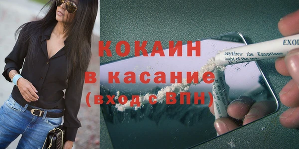 сатива Бородино