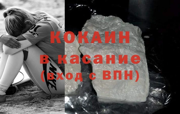 сатива Бородино