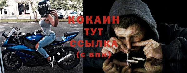 сатива Бородино