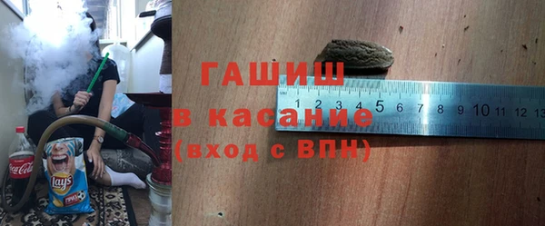 сатива Бородино
