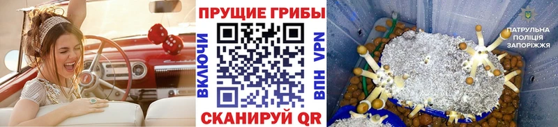 Галлюциногенные грибы мицелий  Купить  Бахчисарай 